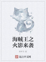 海賊王之火影來襲 海賊王之火影來襲