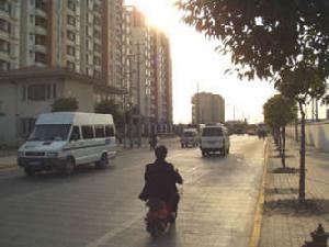 東蘭雅苑一期 東蘭雅苑一期