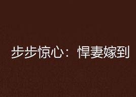 步步驚心:悍妻嫁到 步步驚心:悍妻嫁到
