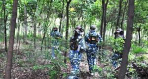 真人CS基地 真人CS基地