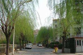 新城東里小區 新城東里小區