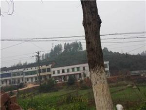 犁頭園村 犁頭園村