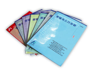 《市場與人口分析》