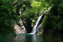 金絲大峽谷國家森林公園