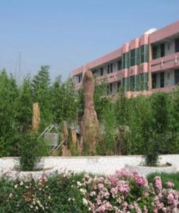 青山泉鎮 青山泉鎮