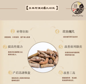 東太極星東革阿里 東太極星東革阿里