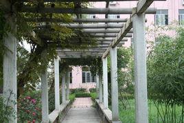 昌樂中學 昌樂中學