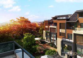 陽光城林隱天下 陽光城林隱天下