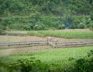（圖）彩壁畫長廊 