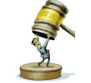 憲法司法化 憲法司法化