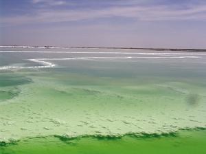 格爾木崑崙經濟開發區