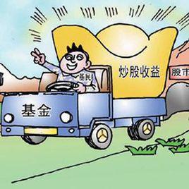 收入型基金 收入型基金