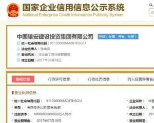 雄安集團 雄安集團