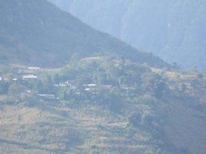 拉丁自然村 拉丁自然村