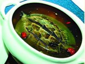 杞子南棗燉金錢龜湯