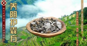 養陰護囊方 養陰護囊方