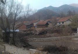 大陽村[山西省芮城縣大王鎮大陽村]