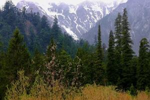 王朗自然保護區