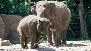 濟南市跑馬嶺野生動物世界