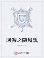 網遊之隨風飄 網遊之隨風飄