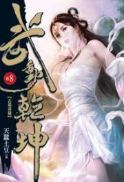 武動乾坤8 武動乾坤8