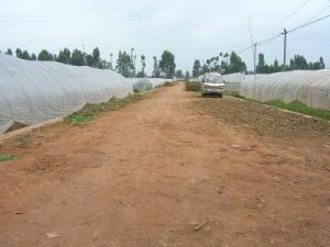 花椒嘴村 花椒嘴村