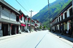 官亭鎮[宕昌縣]