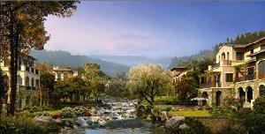 大華西野風韻 大華西野風韻