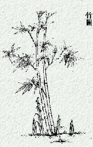 《詩·衛風·淇奧》 《詩·衛風·淇奧》