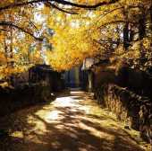 忘記大理麗江吧!這才是雲南最值得去的地方。 忘記大理麗江吧!這才是雲南最值得去的地方。