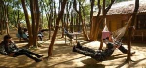 雪豹真人CS野戰基地