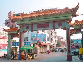 龍美村[雲南紅河縣甲寅鄉下轄村]