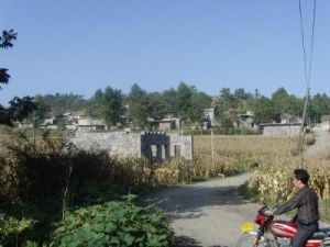 土杉林自然村 土杉林自然村