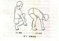 拾物試驗 拾物試驗