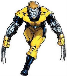 XMEN[美國漫威漫畫旗下的超級英雄團隊]