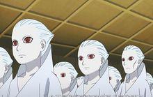 大蛇丸[日本動漫《火影忍者》中角色]