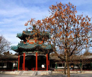  北京市中山公園