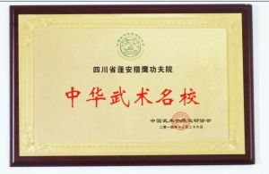 獵鷹功夫院 獵鷹功夫院