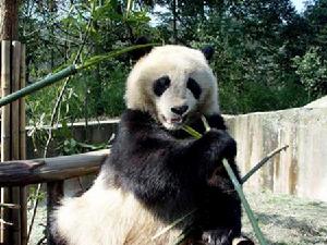 2005年6月6日 2005年6月6日