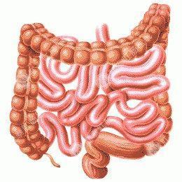 腸結核