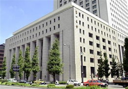 日本第一生命保險公司 日本第一生命保險公司