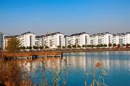 冶山街道 冶山街道