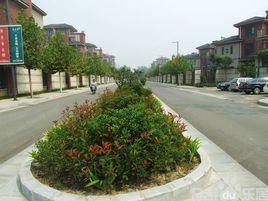 鄭州清水苑小區 鄭州清水苑小區