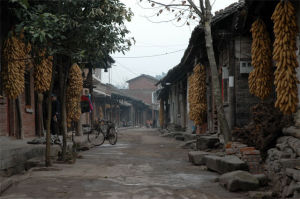 馬克思街 馬克思街