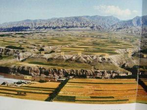 平原文明歷史 平原文明歷史