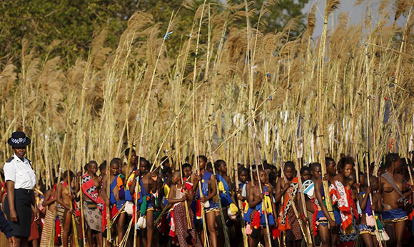 蘆葦舞節 蘆葦舞節