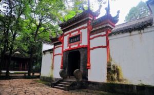 臥龍深處 臥龍深處