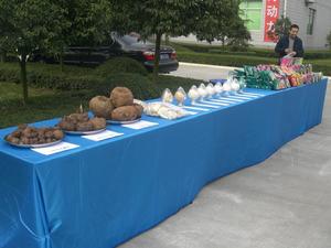 Southwest University of Science and Technology