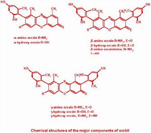 石蕊[化學試劑]