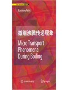 微細沸騰傳遞現象 微細沸騰傳遞現象